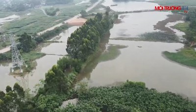 Sông Lô - Vĩnh Phúc: Nhiều sai phạm trong đấu giá quyền sử dụng đất