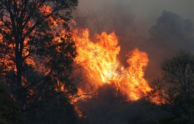 Miền Đông Australia vật lộn để dập tắt các đám cháy rừng