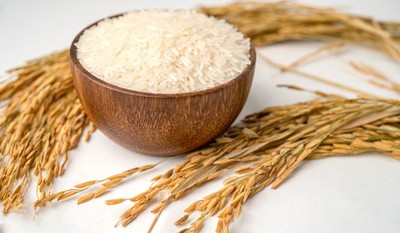 Giá lúa gạo hôm nay 26/10: Cập nhật giá lúa gạo mới nhất hôm nay