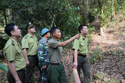 Quế Võ (Bắc Ninh): Tập huấn về bảo vệ rừng và phòng cháy chữa cháy rừng