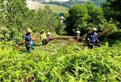 Bắc Giang: Thi công hạ cấp thực bì để phòng chống cháy rừng năm 2023