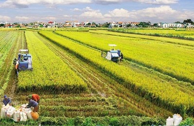 Việt Nam có 28.002.574 ha đất nông nghiệp