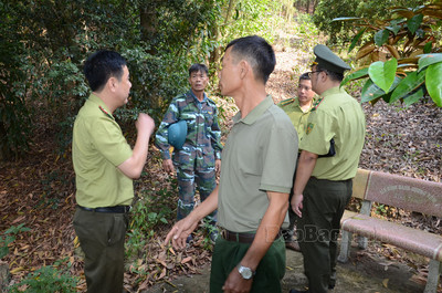 Bắc Ninh: Tăng cường quản lý, phát triển, bảo vệ rừng