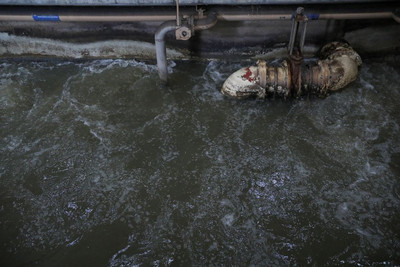 Trung Quốc: Biến nước thải thành vật liệu bán dẫn