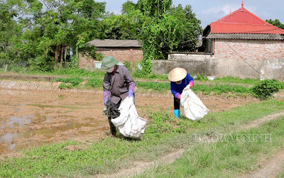 Nông dân Bắc Ninh chuyển giao, hướng dẫn kỹ thuật thực hiện mô hình bảo vệ môi trường