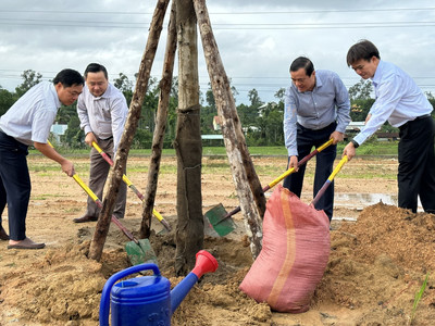 TP.Tam Kỳ (Quảng Nam) ra quân trồng cây hưởng ứng Ngày đô thị Việt Nam năm 2023