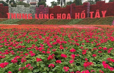 Hà Nội: Công nhận khu du lịch cấp thành phố đối với Khu du lịch Nhật Tân