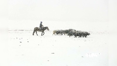 Gần 60% lãnh thổ Mông Cổ đang bị tuyết dày bao phủ