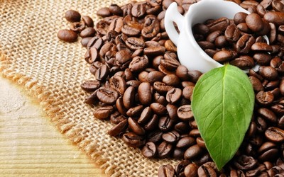 Giá cà phê hôm nay 14/11/2023: Cập nhật giá cà phê Tây Nguyên và Miền Nam