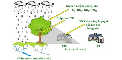 Các quyền lợi môi trường thiên nhiên của cây trái vô ĐK thay đổi khí hậu