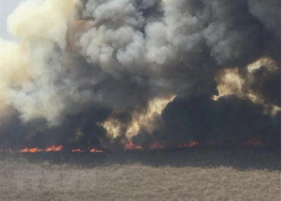 Bolivia: Cháy rừng hoành hành