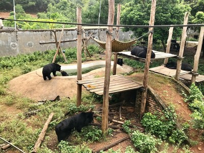 Hà Nội: Quản lý chặt cơ sở gây nuôi động vật hoang dã