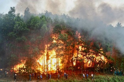Bắc Giang: Thời tiết bất thường, nhiều địa phương nguy cơ cháy rừng cấp cực kỳ nguy hiểm