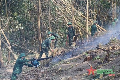 Quảng Ninh diễn tập phương án chữa cháy rừng cấp tỉnh năm 2023