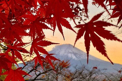Mùa thu và mùa xuân có thể ‘biến mất’ ở Nhật Bản, gây hệ lụy báo động