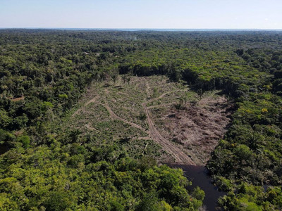 Brazil đề xuất lập quỹ bảo tồn rừng nhiệt đới trị giá 250 tỷ USD