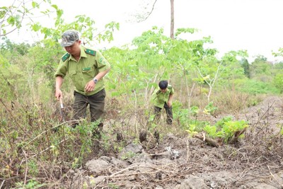 Đắk Lắk: Phó trưởng trạm kiểm lâm tử vong trong rừng do trúng 14 vết đạn