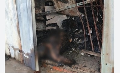 Long An: Cháy kho chứa đồ cũ, 1 người tử vong khi dập lửa