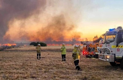 Australia: Nguy cơ cháy rừng ở bang South Australia do thời tiết khắc nghiệt