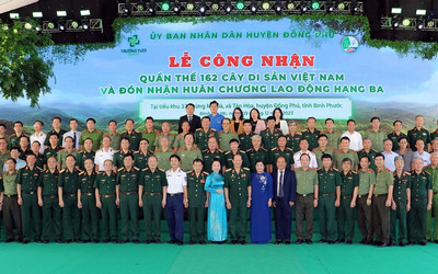 Bình Phước: Điểm sáng trong công tác giữ rừng qua Lễ công nhận quần thể 162 Cây di sản Việt Nam