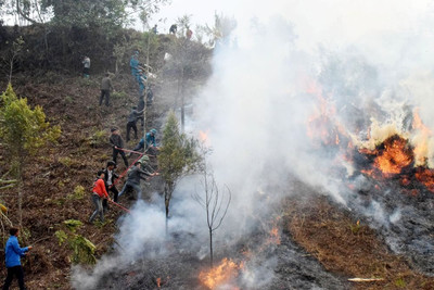 Lào Cai tổ chức thực hiện các biện pháp phòng cháy, chữa cháy rừng mùa khô 2023 - 2024