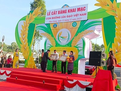 Hậu Giang: Triển lãm Con đường lúa gạo Việt Nam