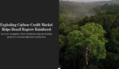 Cơn bùng nổ thị trường tín chỉ carbon giúp Brazil tái tạo rừng nhiệt đới