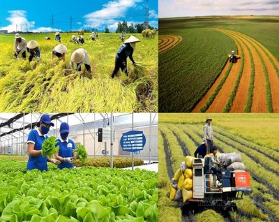 Giải pháp áp dụng kinh tế tuần hoàn trong lĩnh vực nông nghiệp