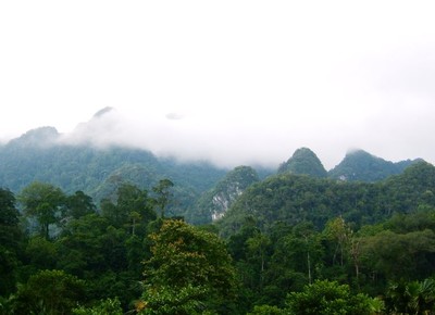 Nỗ lực bảo vệ đa dạng sinh học tại Vườn quốc gia Xuân Sơn