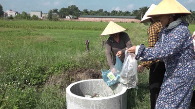 Phụ nữ Gia Bình (Bắc Ninh) tiên phong bảo vệ môi trường