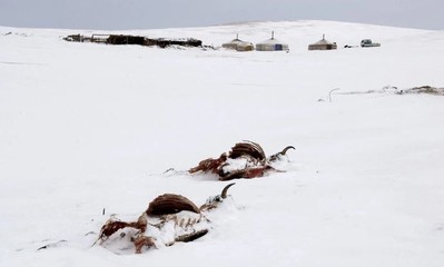 Mông Cổ: Tuyết dày gần 40cm bao phủ 90% lãnh thổ