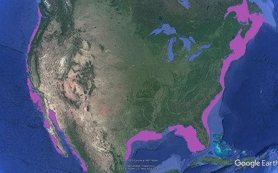Mỹ: Công bố tọa độ địa lý ranh giới thềm lục địa mở rộng