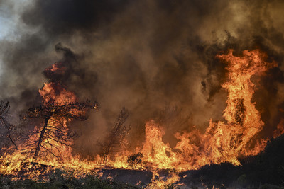 Nam Phi: Nỗ lực khống chế cháy rừng ngày thứ hai liên tiếp