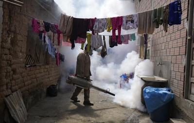 WHO cảnh báo mối đe dọa toàn cầu về bệnh sốt xuất huyết