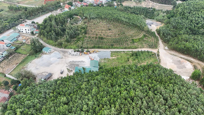 Hạ Long: Ngang nhiên ‘xẻ thịt’ hàng nghìn m2 đất rừng để xây dựng bãi VLXD không phép