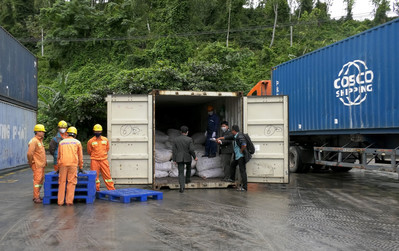 Đà Nẵng: Tiêu hủy gần 10 tấn động vật hoang dã buôn lậu từ hâu Phi về Việt Nam