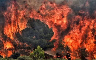 Cháy rừng năm 2023 gây thiệt hại nặng nề trên toàn cầu