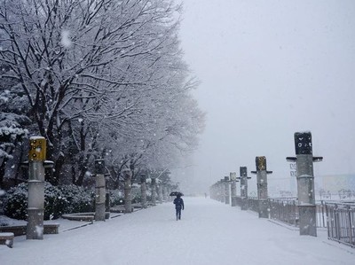 Hàn Quốc: Nhiệt độ giảm sâu đột ngột, cảnh báo tuyết rơi dày ở Seoul