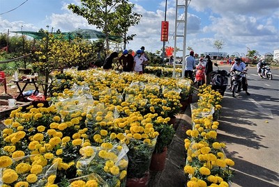 Cà Mau: Tổ chức, sắp xếp chợ hoa kiểng, chợ dưa hấu dịp Tết Nguyên đán