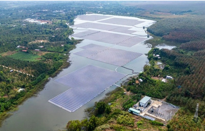 Bà Rịa - Vũng Tàu: Dự án điện mặt trời vi phạm Luật Đất đai