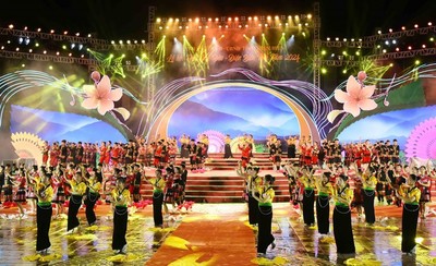Điện Biên: Khai mạc Lễ hội Hoa anh đào