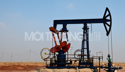 Giá xăng dầu hôm nay 15/1/2024: Cập nhật giá xăng dầu trong nước, quốc tế