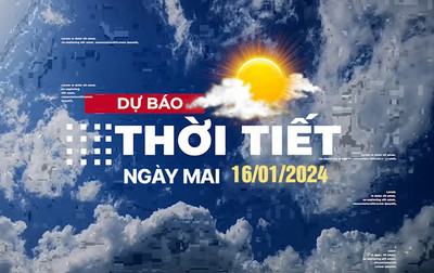Dự báo thời tiết ngày mai 16/1/2024, Thời tiết Hà Nội, Thời tiết TP.HCM ngày 16/1