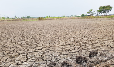 Thủ tướng Chính phủ yêu cầu ứng phó với nguy cơ hạn hán, thiếu nước, xâm nhập mặn