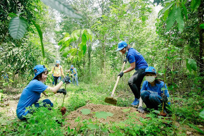 Tỉnh Nghệ An ban hành chỉ thị về tổ chức Tết trồng cây Xuân Giáp Thìn 2024