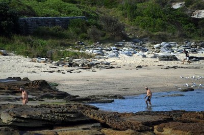 Australia: Cảnh báo ô nhiễm sau mưa lớn tại một loạt bãi biển ở Sydney