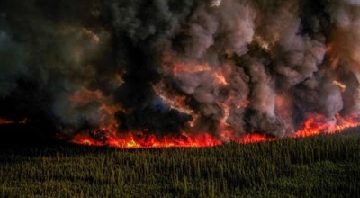 Canada: Cháy rừng đã tạo ra 1,7 tỷ tấn CO2 trong năm 2023