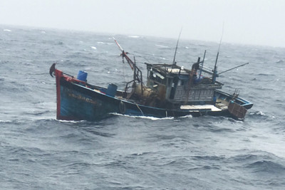 Bình Định: Cứu 5 ngư dân thoát nạn khi tàu cá bị chìm trên biển