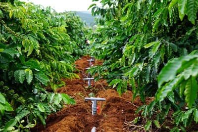 Cải thiện năng suất cây trồng và bảo vệ môi trường qua công nghệ tưới nước hiện đại