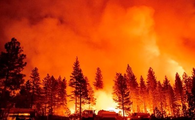 Argentina: Cháy mất kiểm soát tại Công viên quốc gia Los Alerces